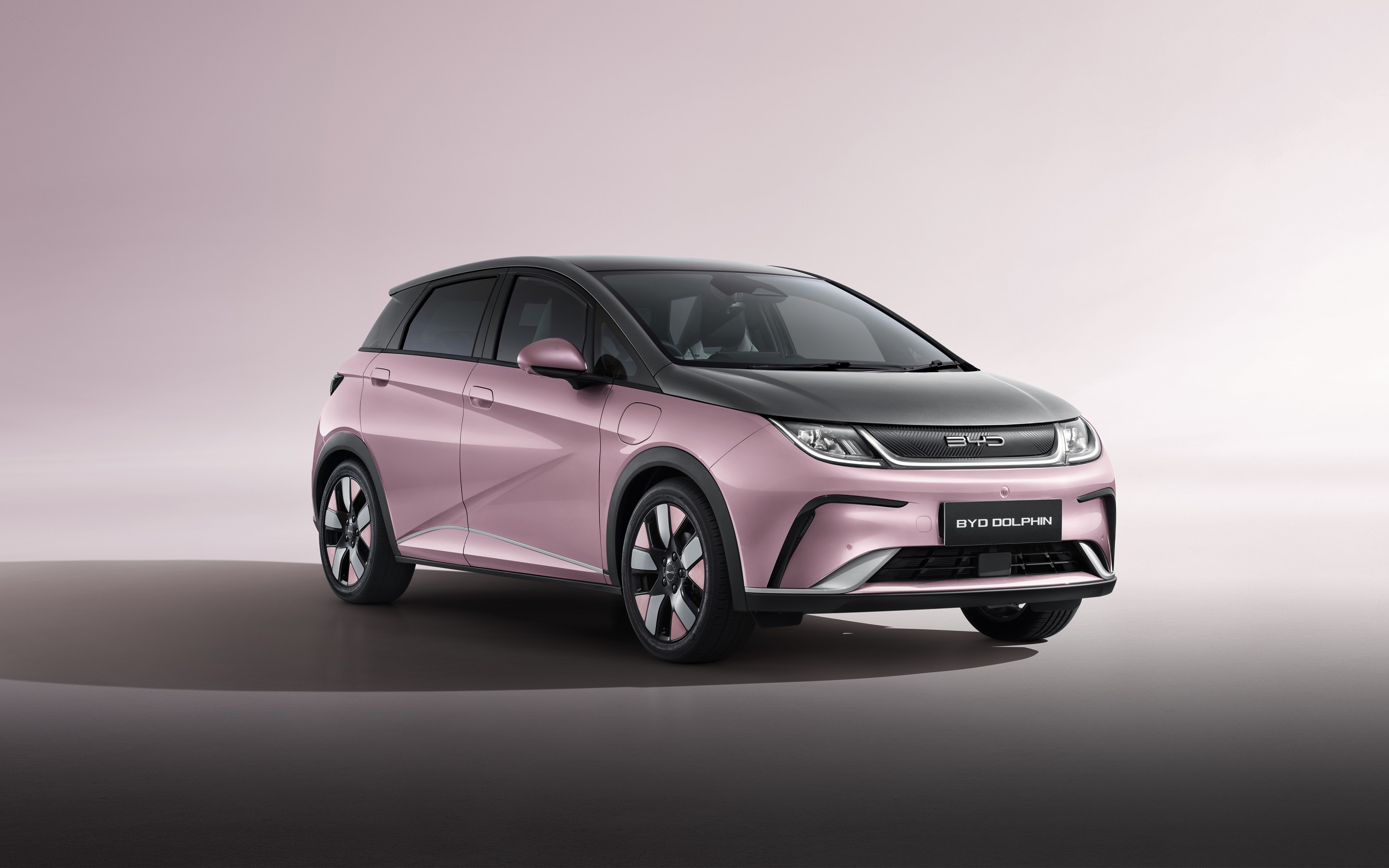 BYD Dolphin gallery 2