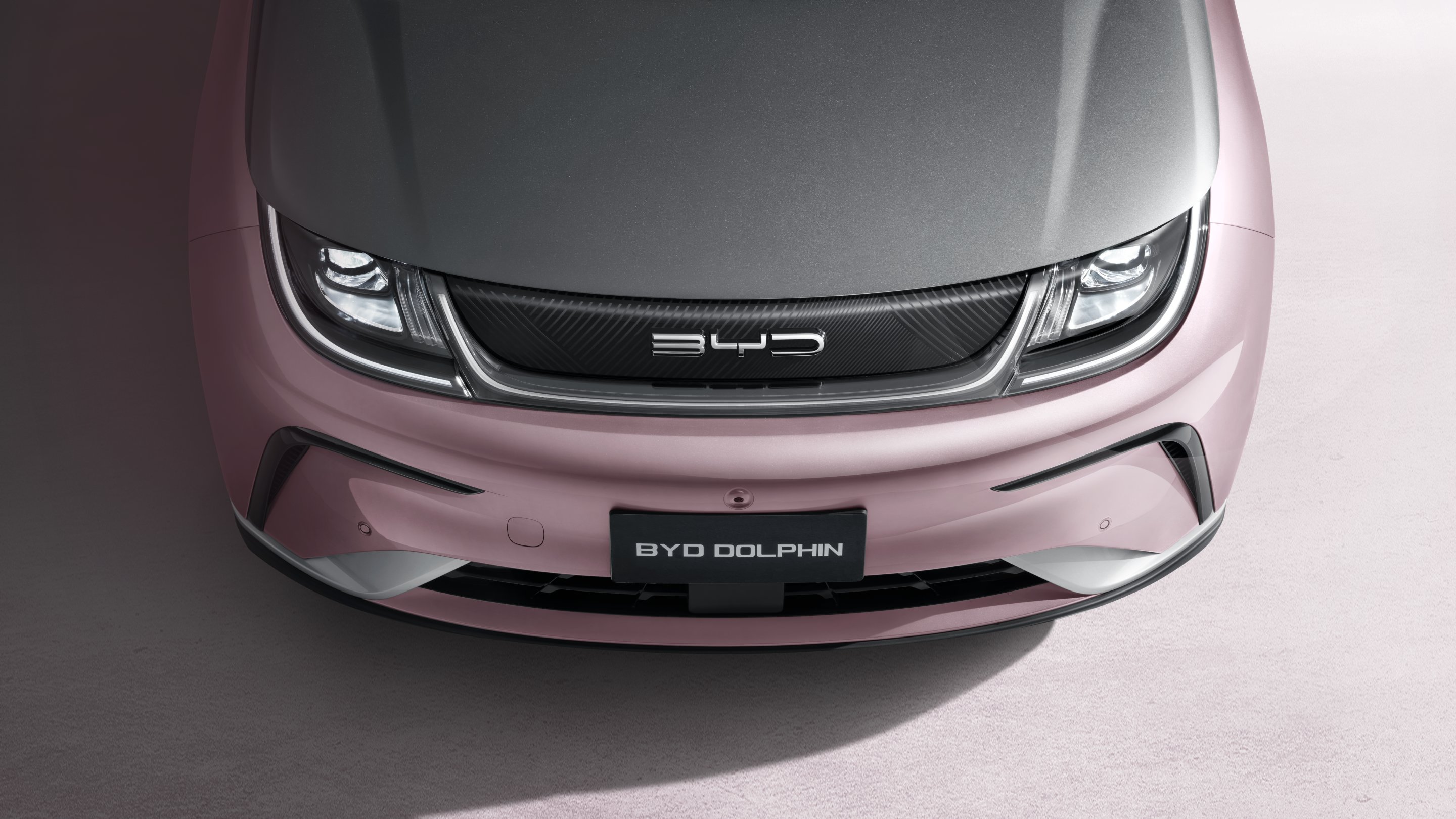 BYD Dolphin gallery 4